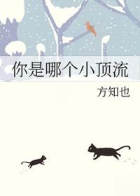 你是哪个小顶流