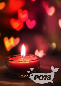 炮友转正日记